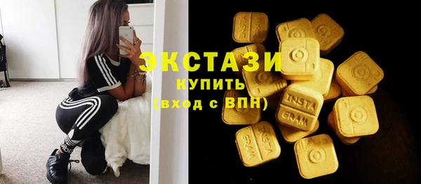 индика Верхний Тагил