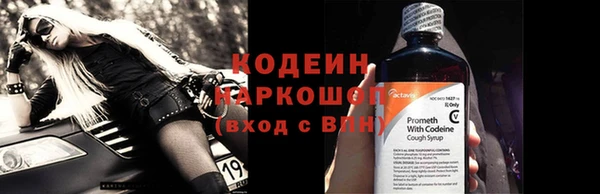 крисы Бугульма